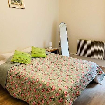 Appartement Cosy Colmar Zewnętrze zdjęcie