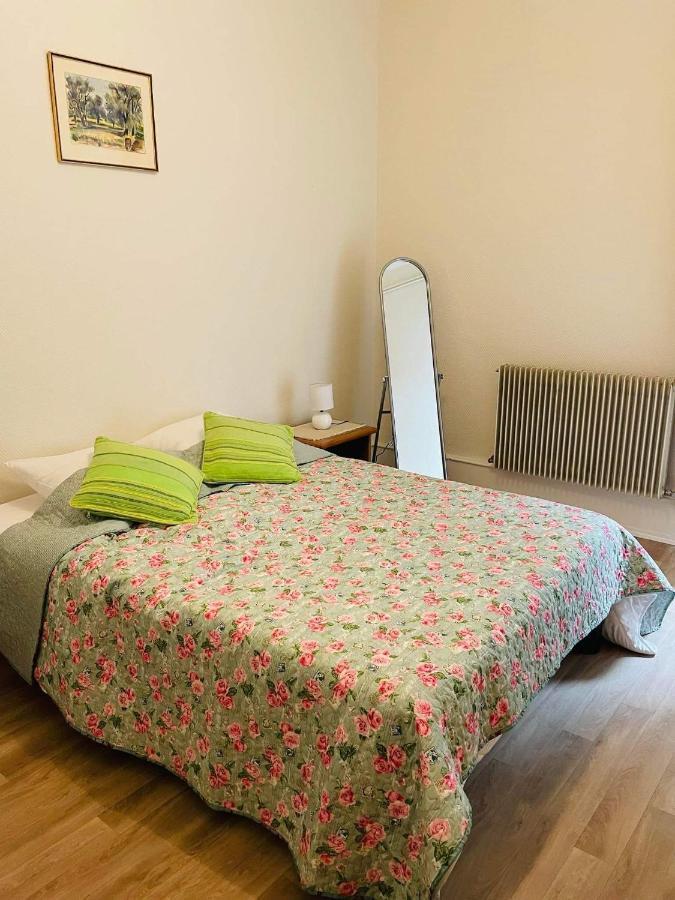 Appartement Cosy Colmar Zewnętrze zdjęcie